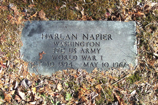 Harlan Napier