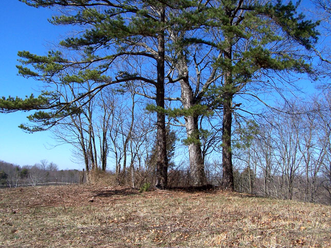 John Warren Cemetery